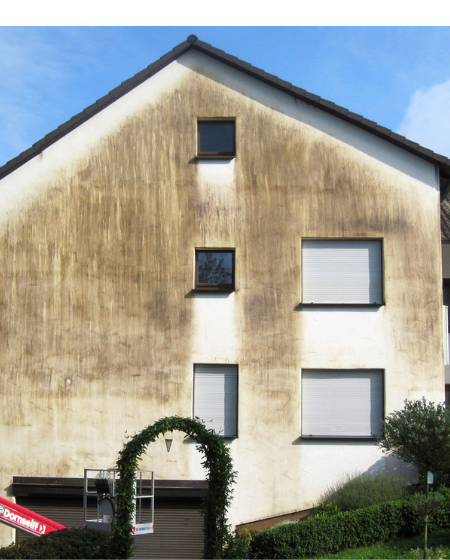 Design ohne Titel (80)